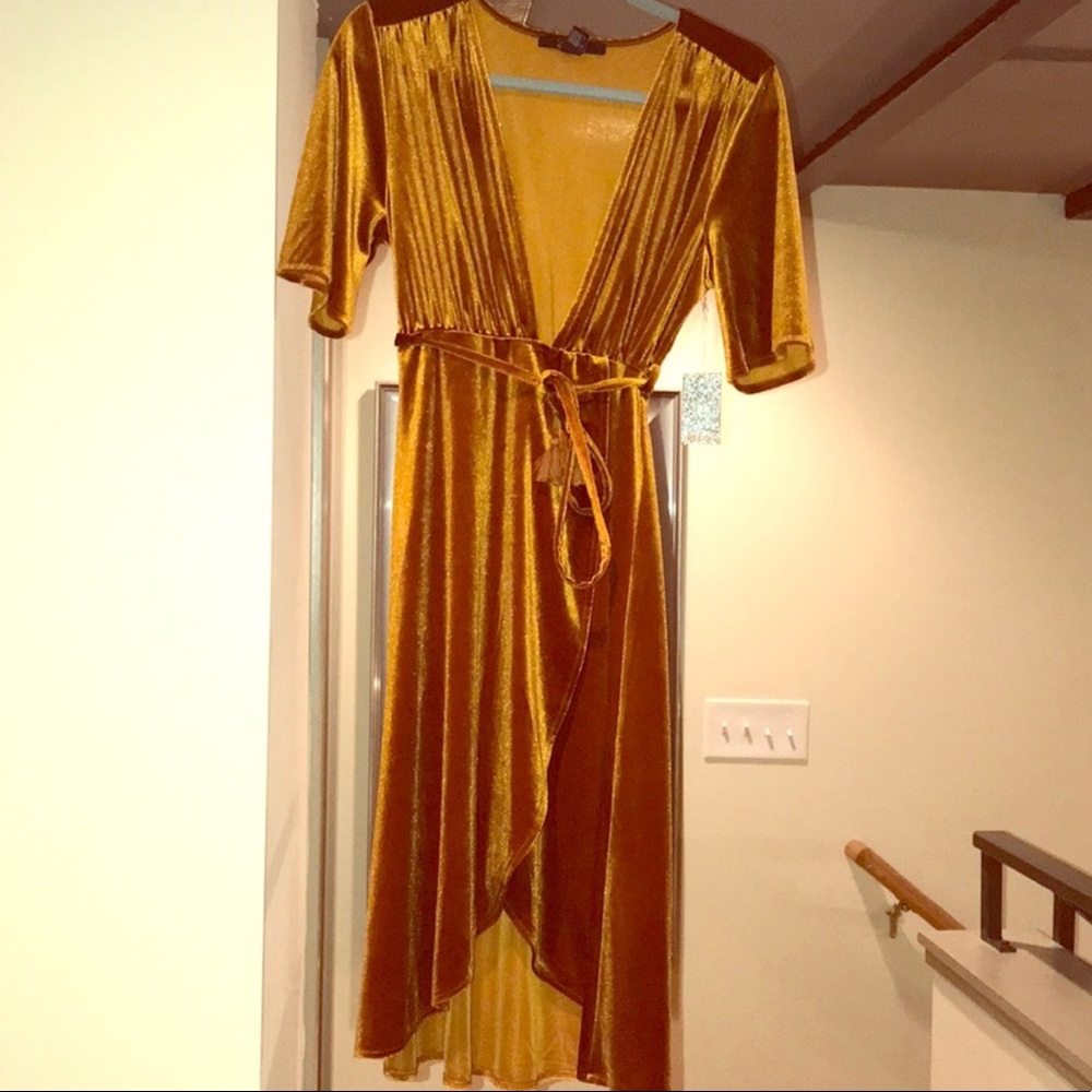Forever 21 plunge velvet dress